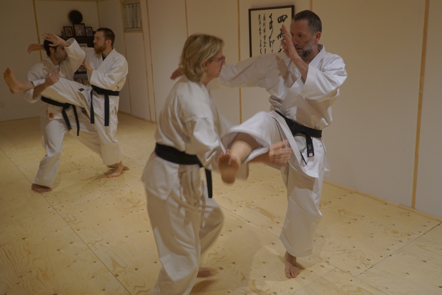 karate-jutsu